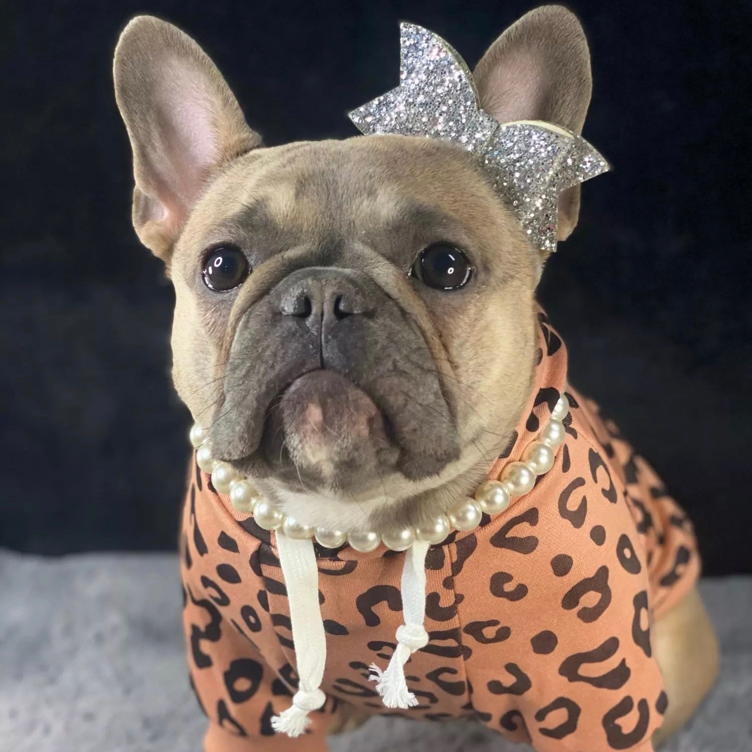 Leopard Printed Dog Hoodies