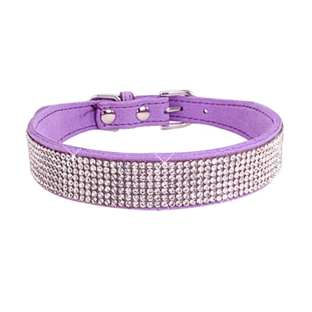 Crystal Buckled Dog Collar