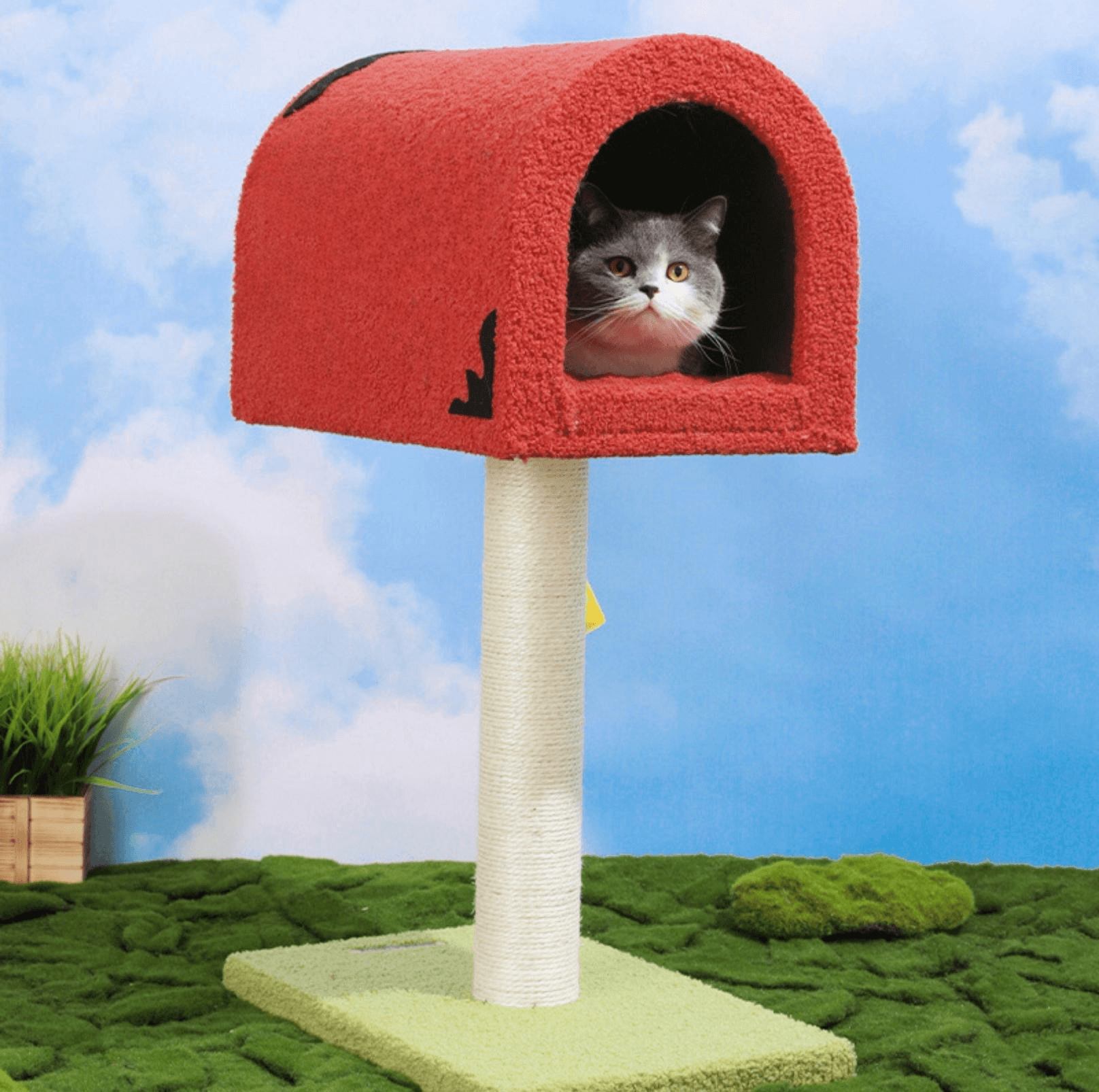 Cute Mailbox Sisal Cat Scratching Post Tree with Interactive Window