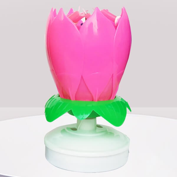 🎂Magic Flower Birthday Candle