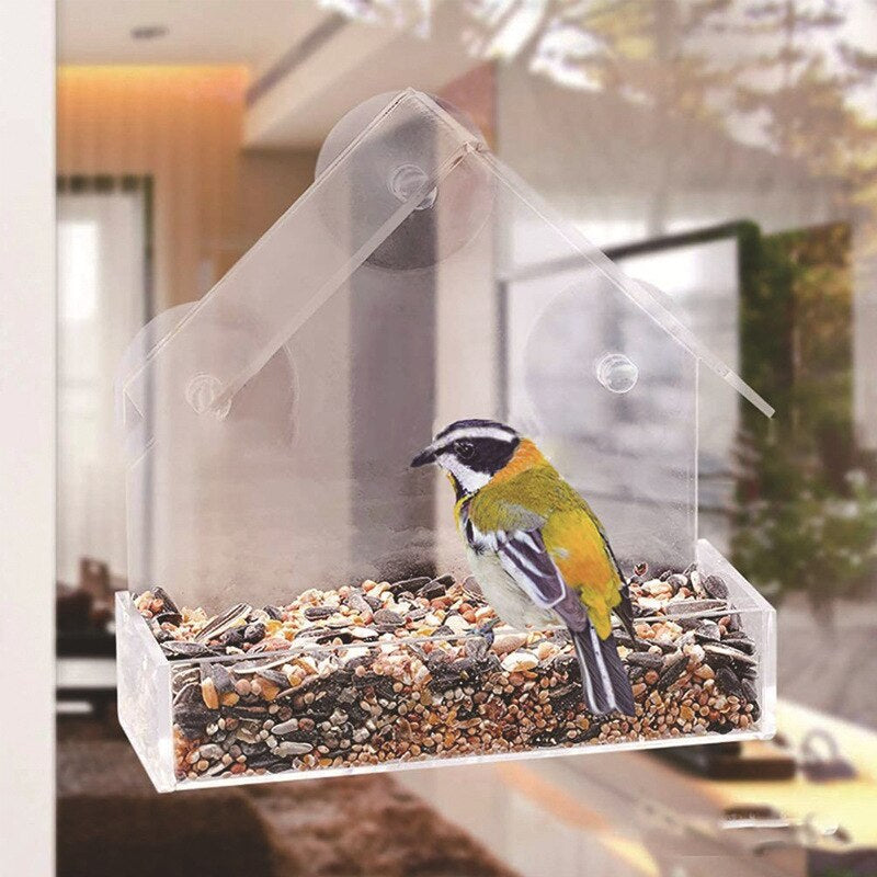 House With Feeder Suction Cup With Birds