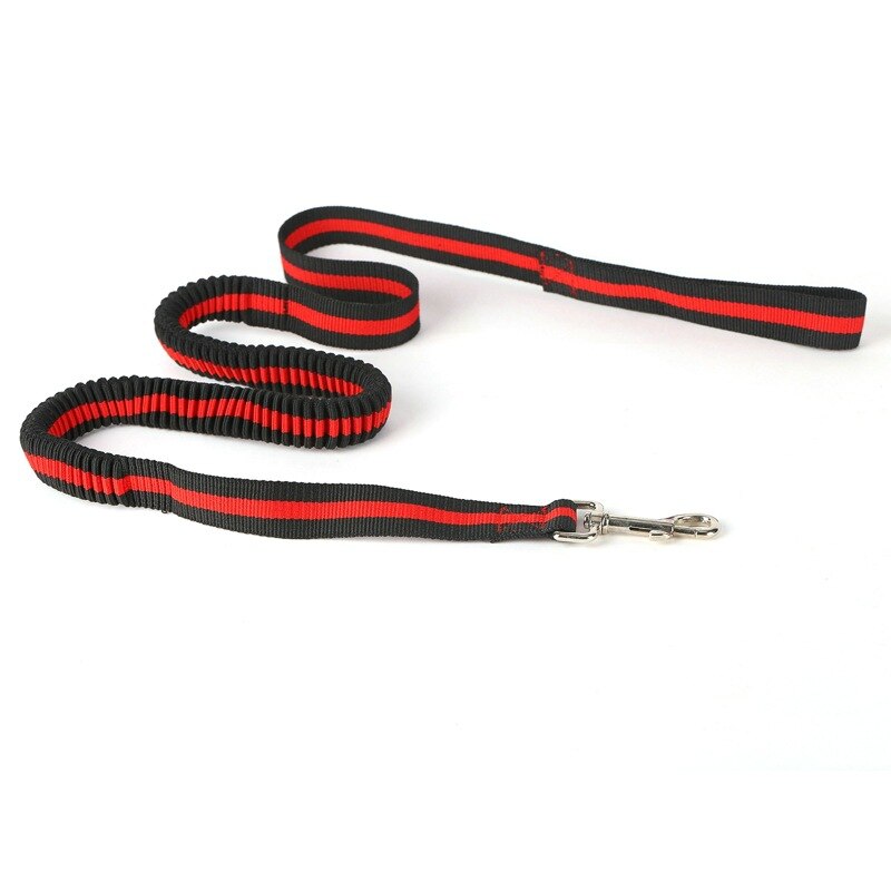 Pet Dog Lead Leash