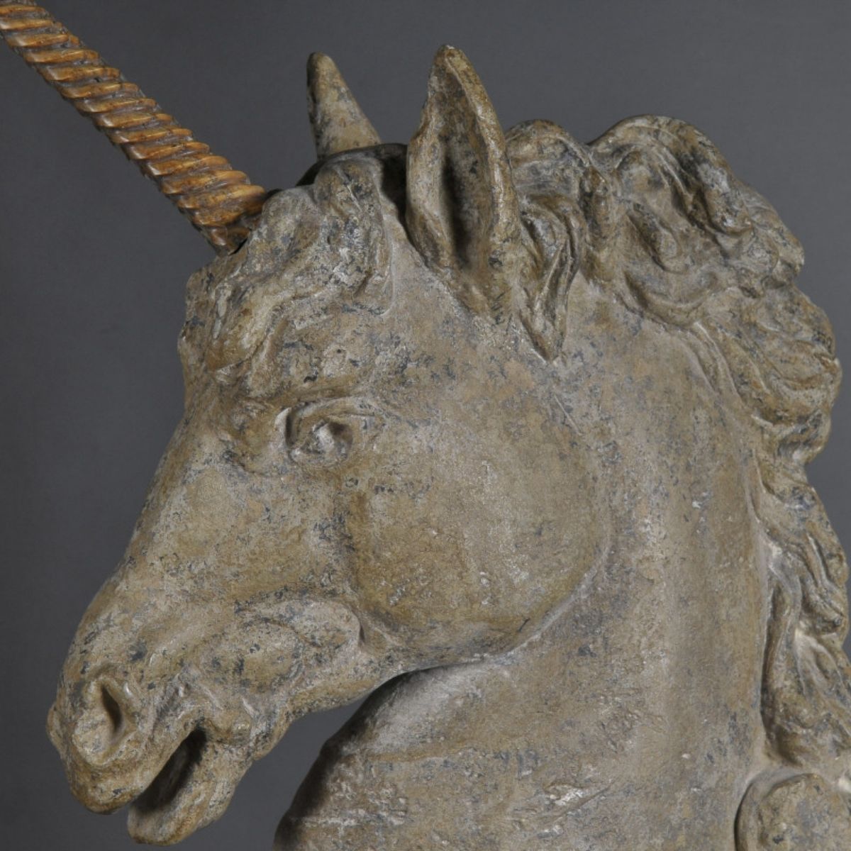 Unicorn Head