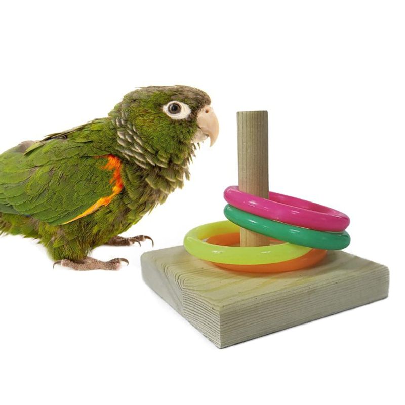 8 Pieces Parrot Training Chew Toys Set