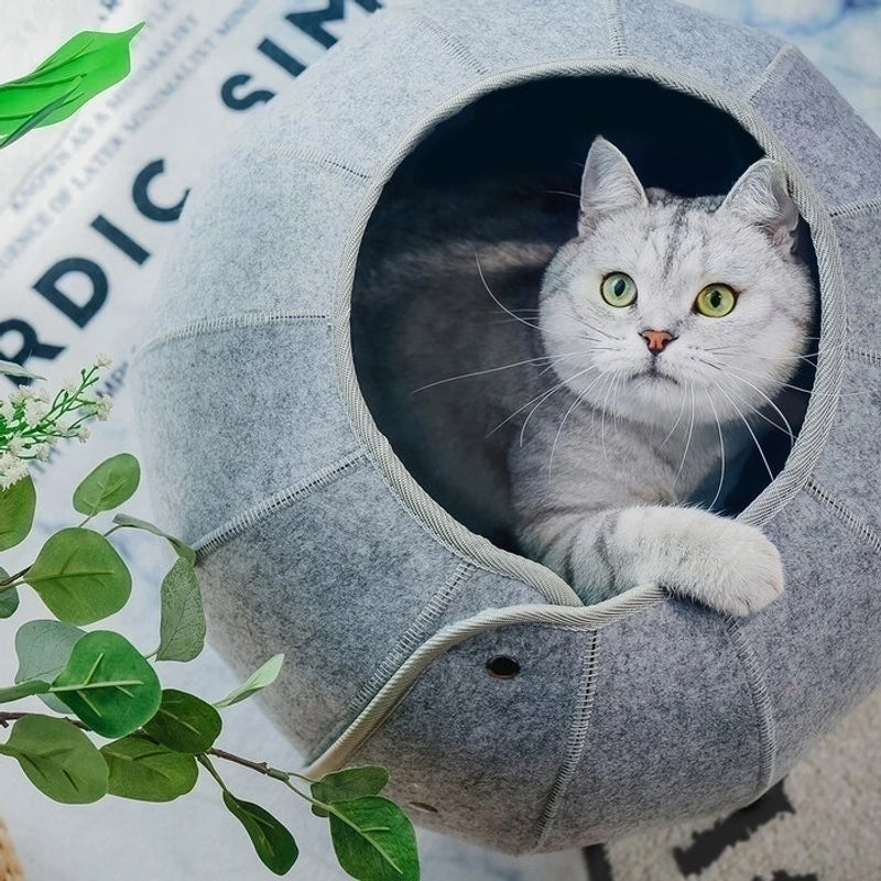 Minimalist Felt Cloth Solid Color Pet Bed