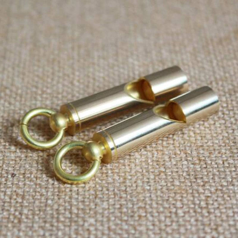 Pet Bird Training Whistle