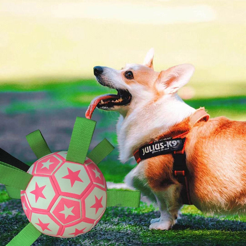 Minimalist PVC Rugby Football Pet Toys