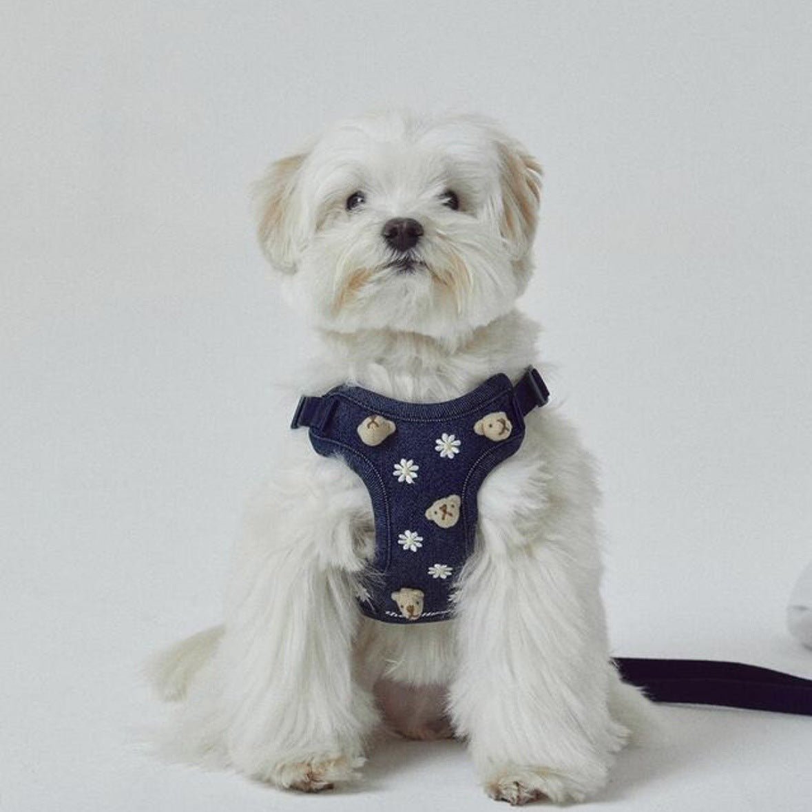 Bear Decor Denim Dog Harness/Collar/Bag