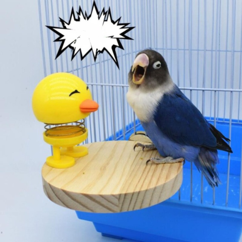 Hanging Bird Plastic Springs Chicken Toy