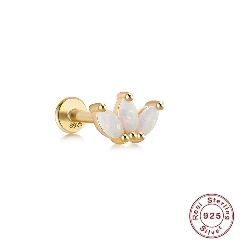1 Piece Ear Cartilage Rings & Studs Fashion Square Water Droplets Paw Print Silver Inlay Zircon