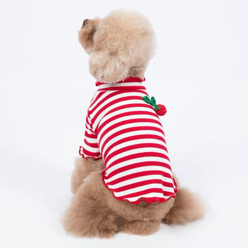 Striped Cherry Decor Dog Shirt