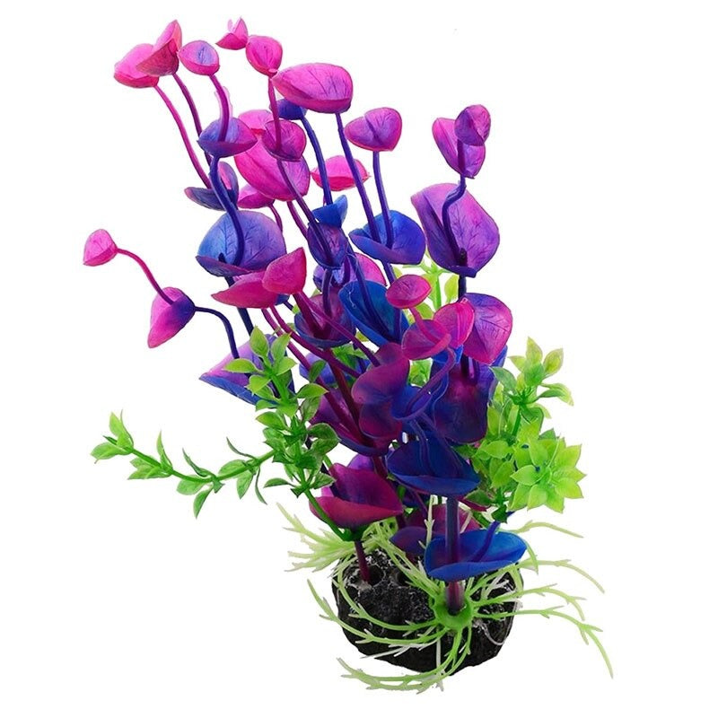 Large Aquatic Plant For Aquarium