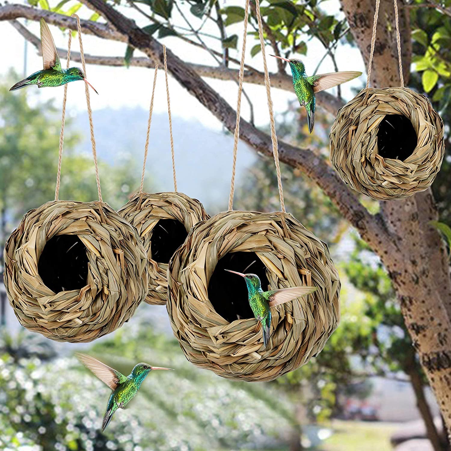 💲49% OFF-🐦Hummingbird Nest House