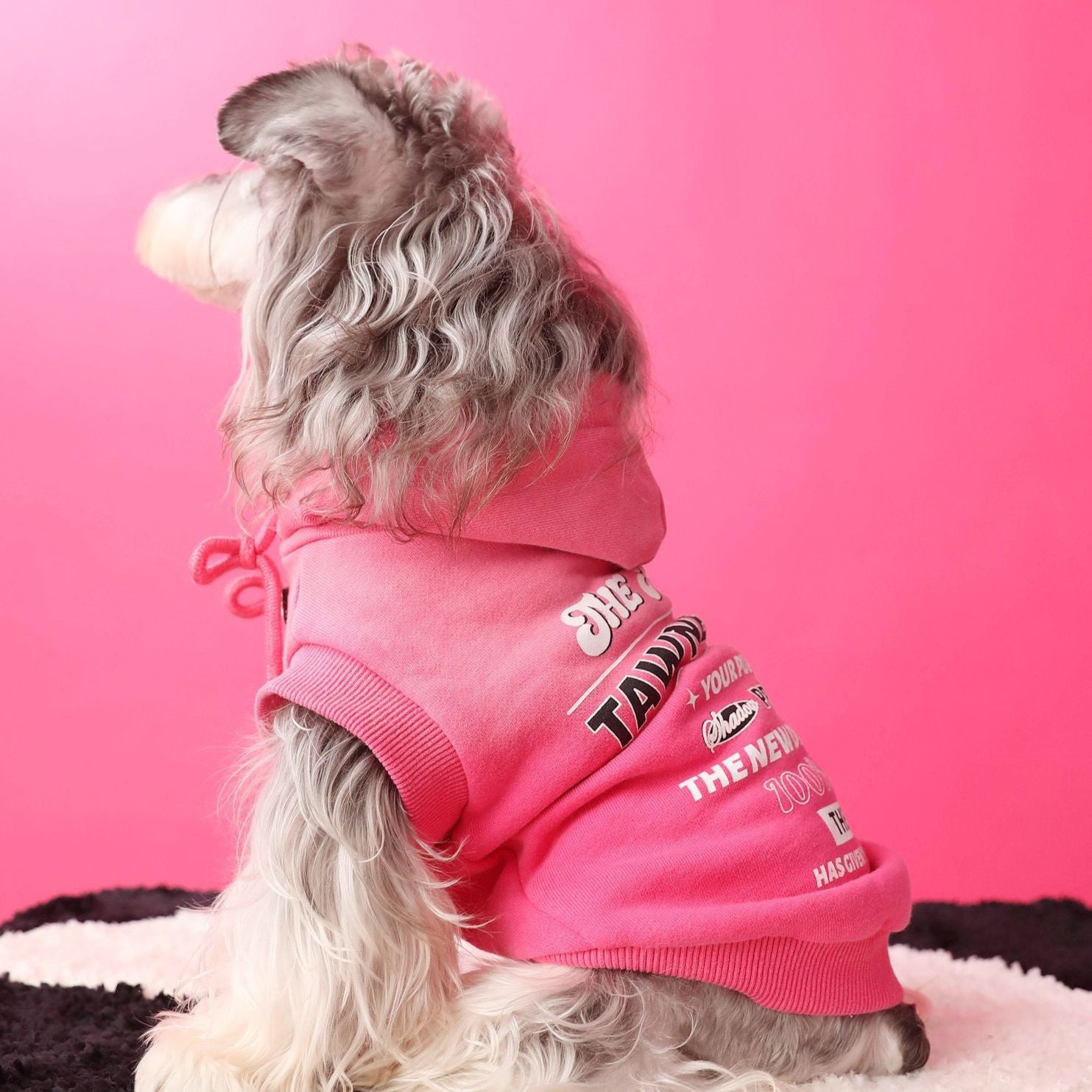 Letter Printed Dog Cat Short Sleeves Hoodie