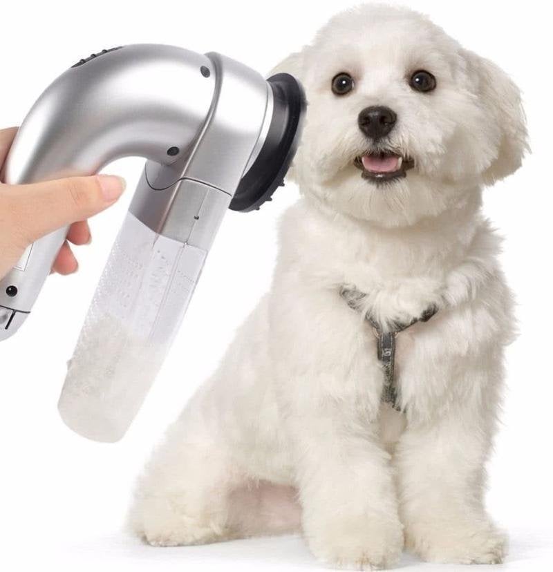 Best handheld vacuum for pet hair