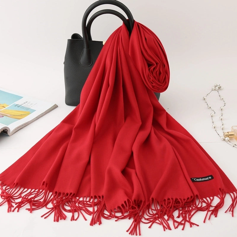 Women's Modern Style Solid Color Imitation Cashmere Scarf