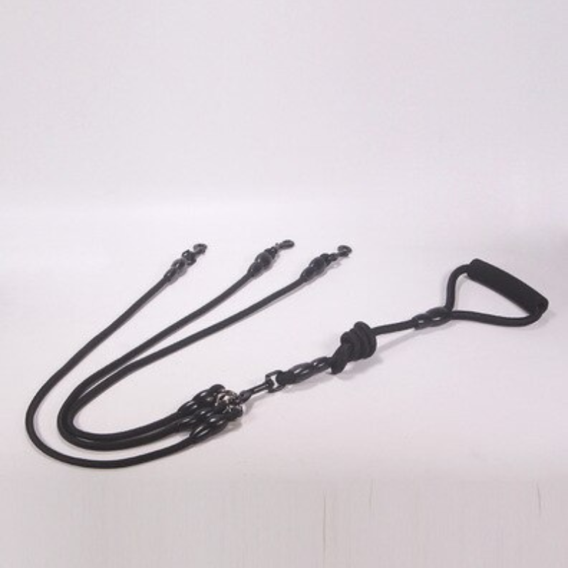 Nylon Rope Two Heads Dogs Leash
