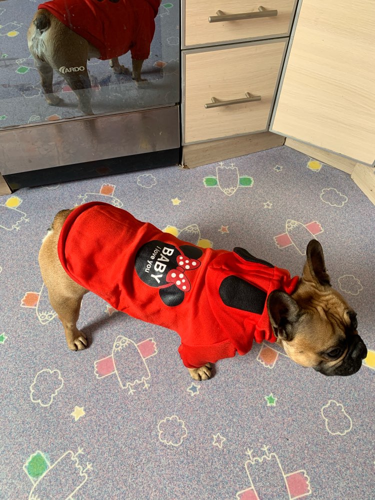 Mickey mouse Pet Hoodie- Spring