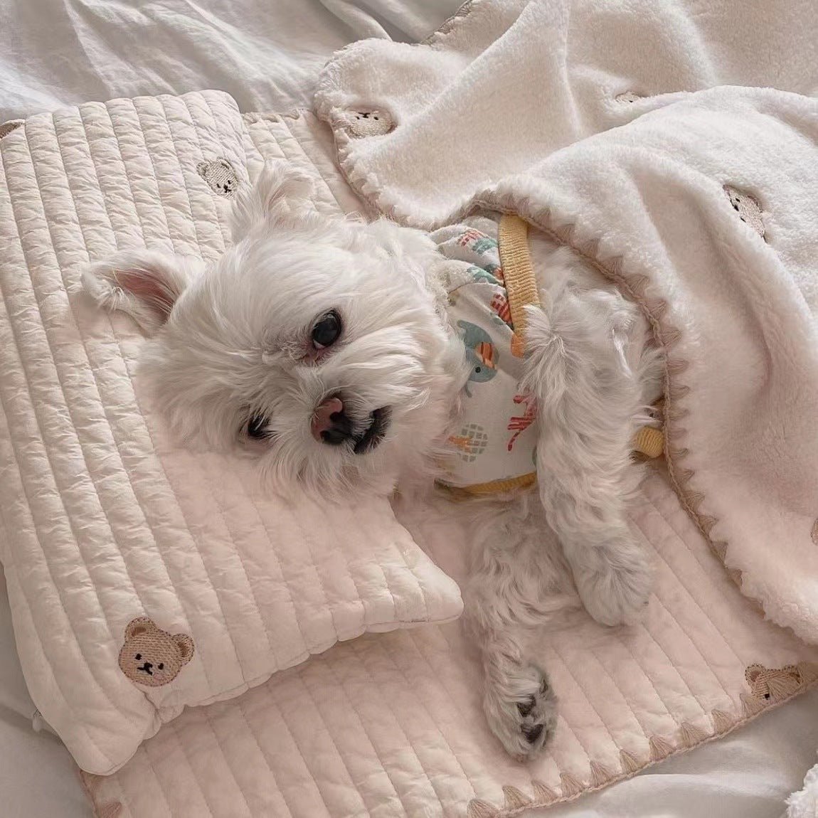 Bear Printed Dog Mat Quilt Pillow 3pcs Set