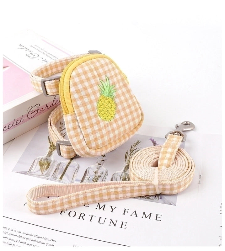 Minimalist Classic Style Polyester Color Block Leash