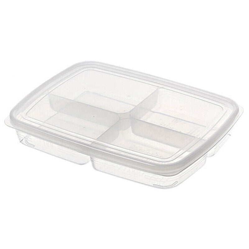 4 Grids Food Fruit Storage Box Portable Refrigerator Freezer Box