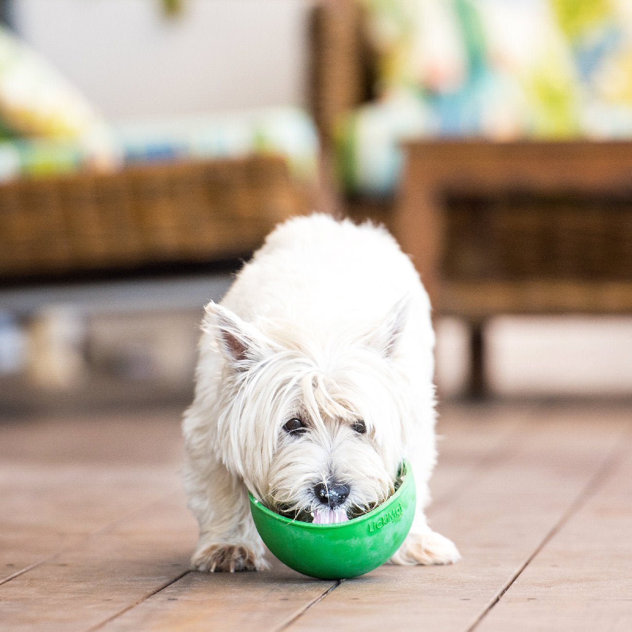 LickiMat Wobble Slow Food Bowl (4 Colours)