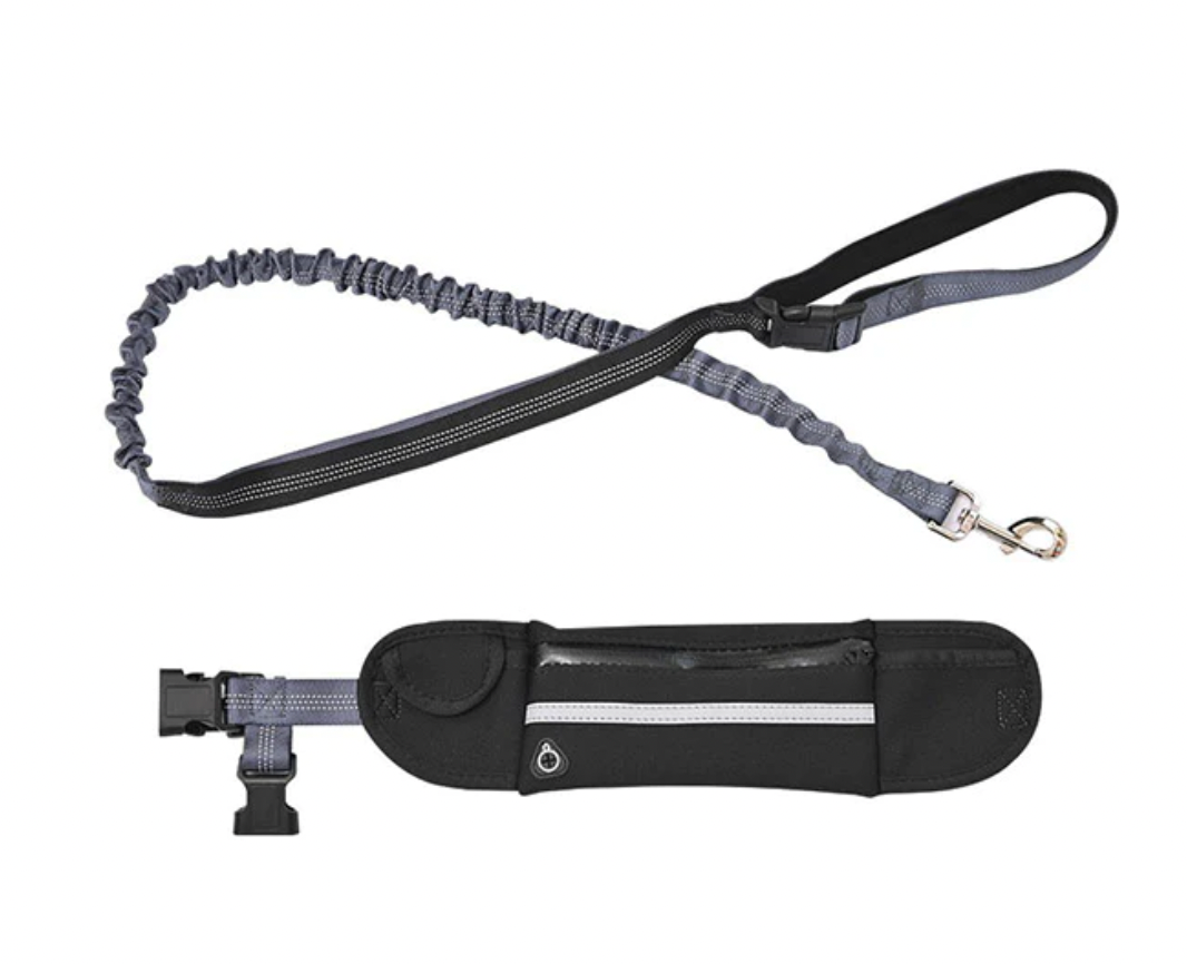 Waist Wearing Adjustable Pet Leashes