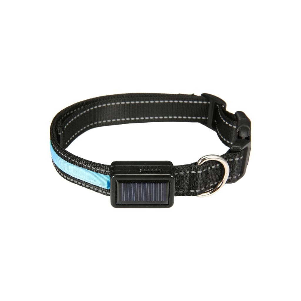 Solar USB Rechargable LED Dog Collar (L Blue)