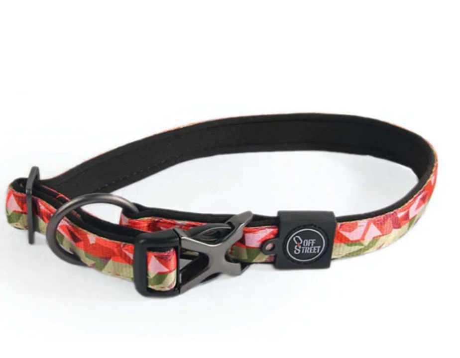 Eco Bionic Neoprene Dog Collars