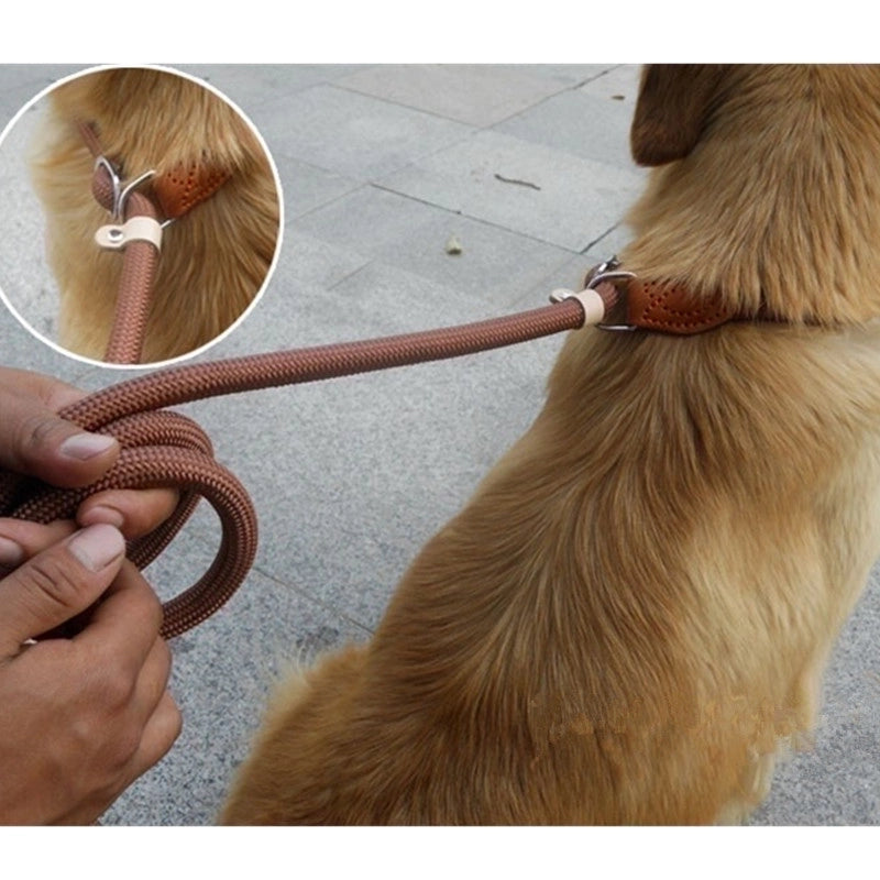 Minimalist Classic Style Nylon Solid Color Leash