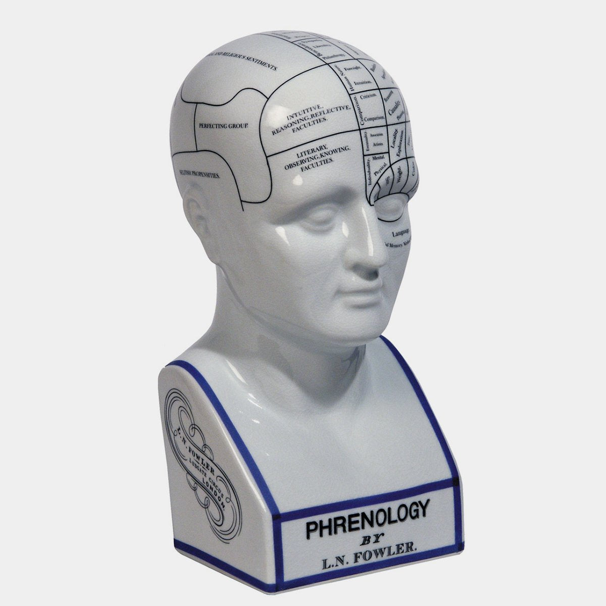 Phrenology Head