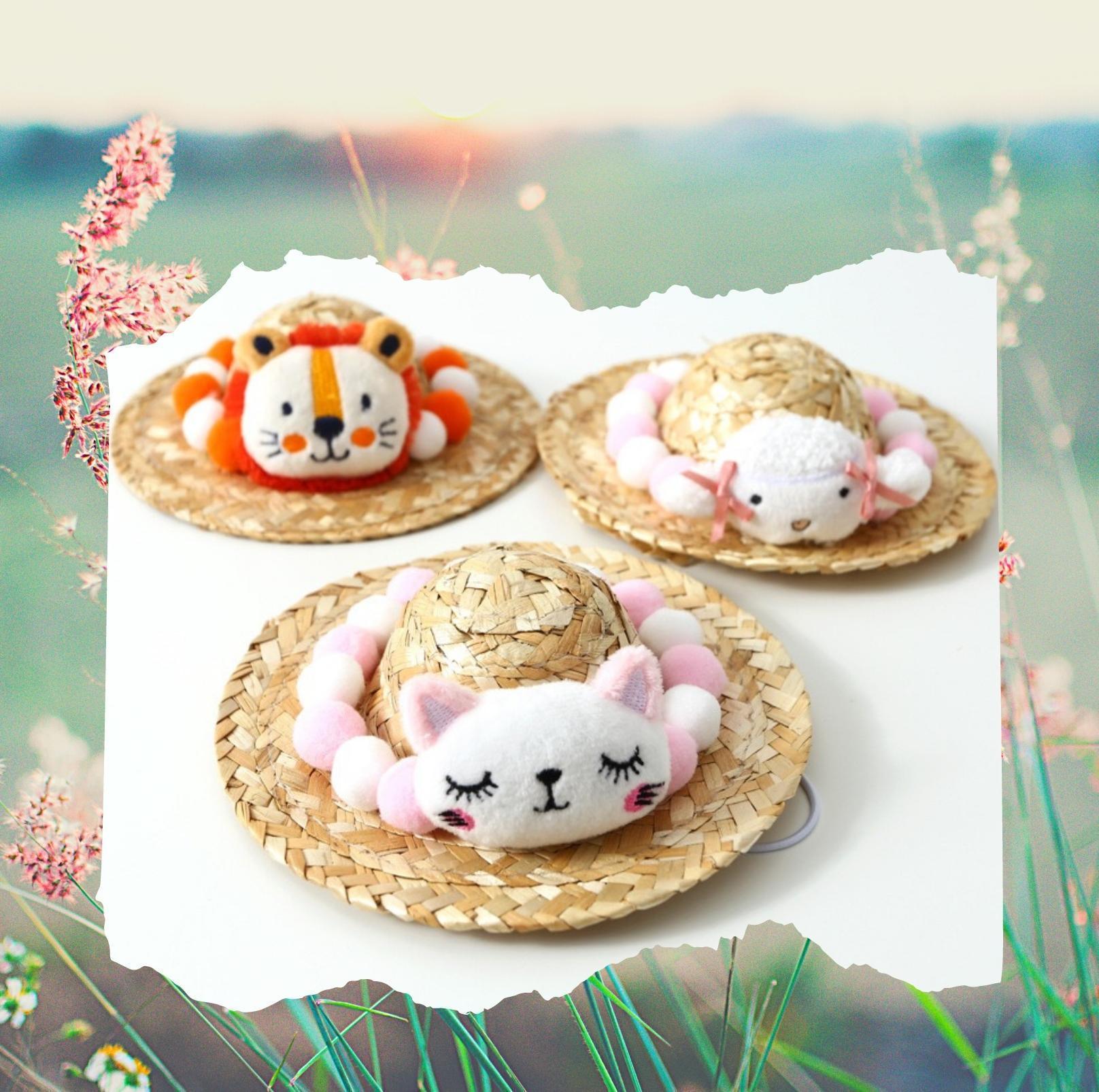 Unique Style Pet Straw Hat