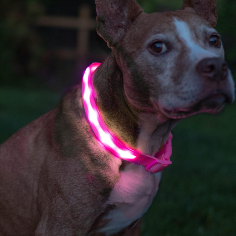 Adjustable Strap Design Dog Leash With LED Lighting