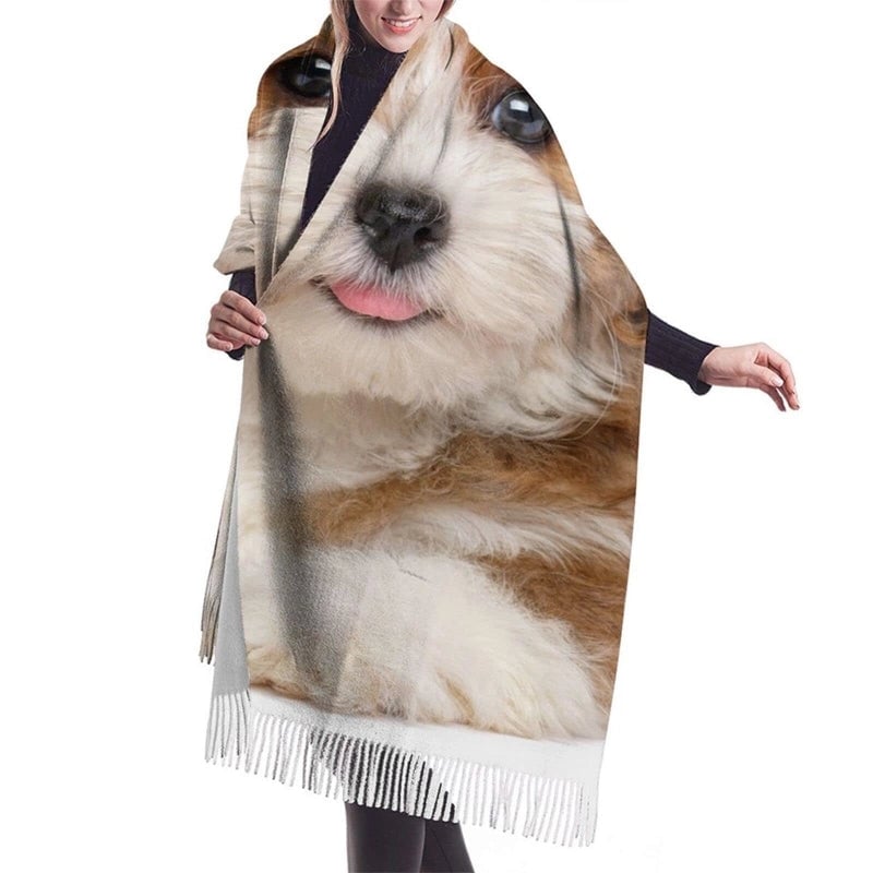 Women's IG Style Animal Letter Elk Imitation Cashmere Scarf
