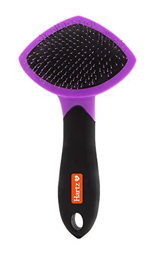 HARTZ. Groomer's Best Small Slicker Brush for Cats and Small Dogs. Black/Violet. 1 Count