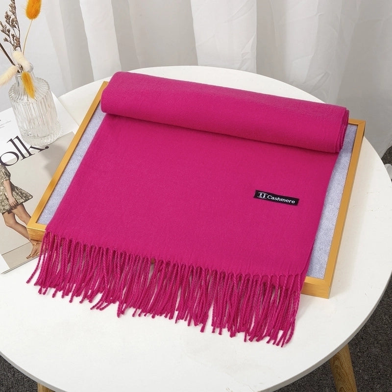 Women's Minimalist Solid Color Imitation Cashmere Tassel Scarf
