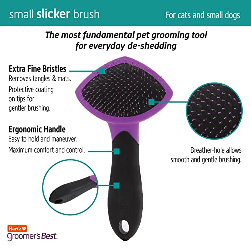 HARTZ. Groomer's Best Small Slicker Brush for Cats and Small Dogs. Black/Violet. 1 Count