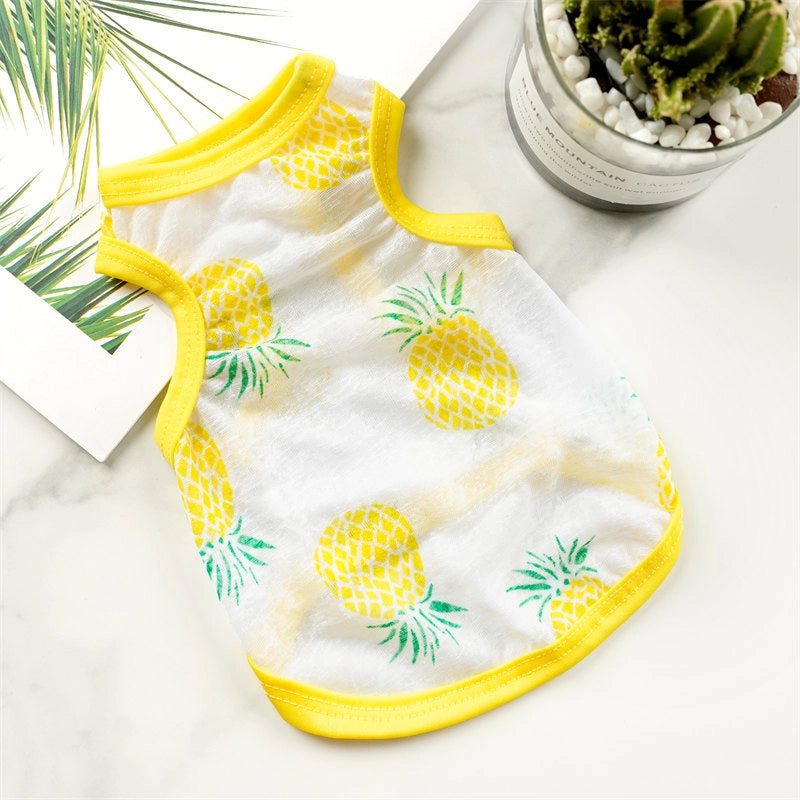 Cute Cactus Rabbit Poached Egg Pet Clothing