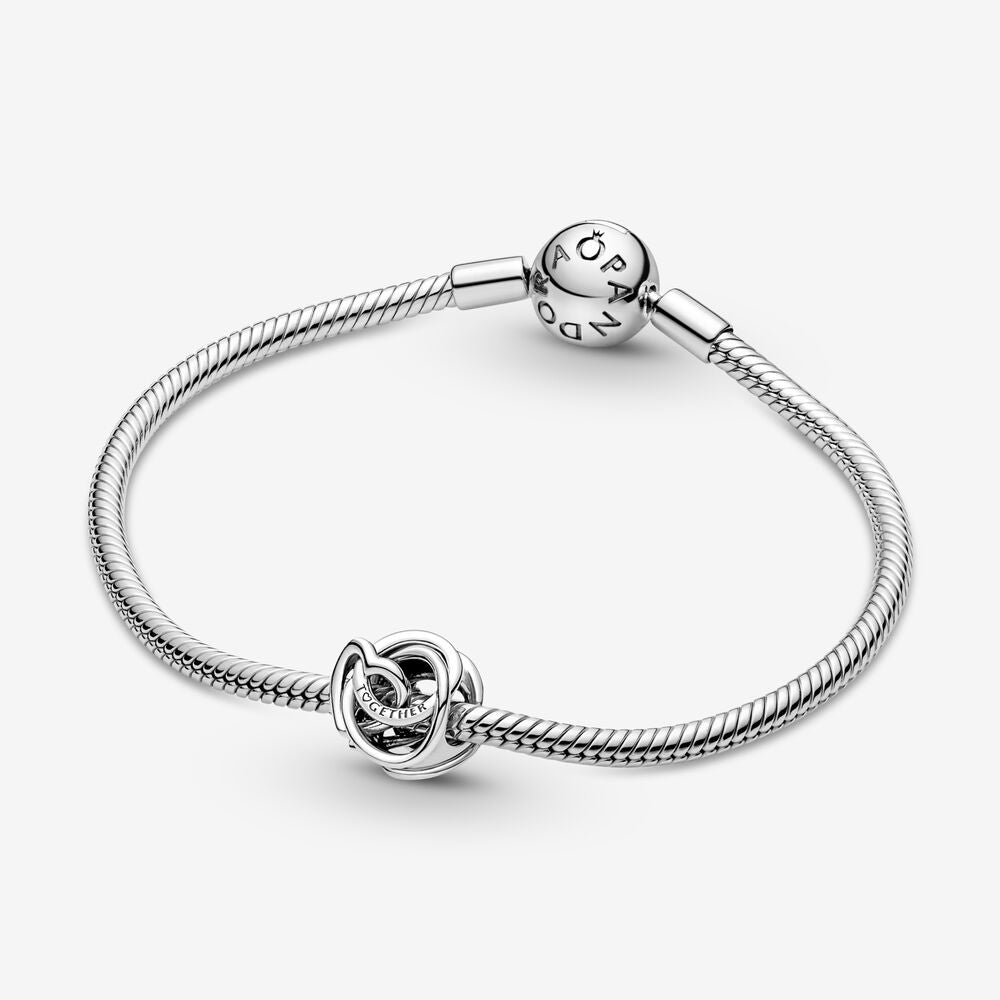 Family Always Encircled Heart Pandora Charm