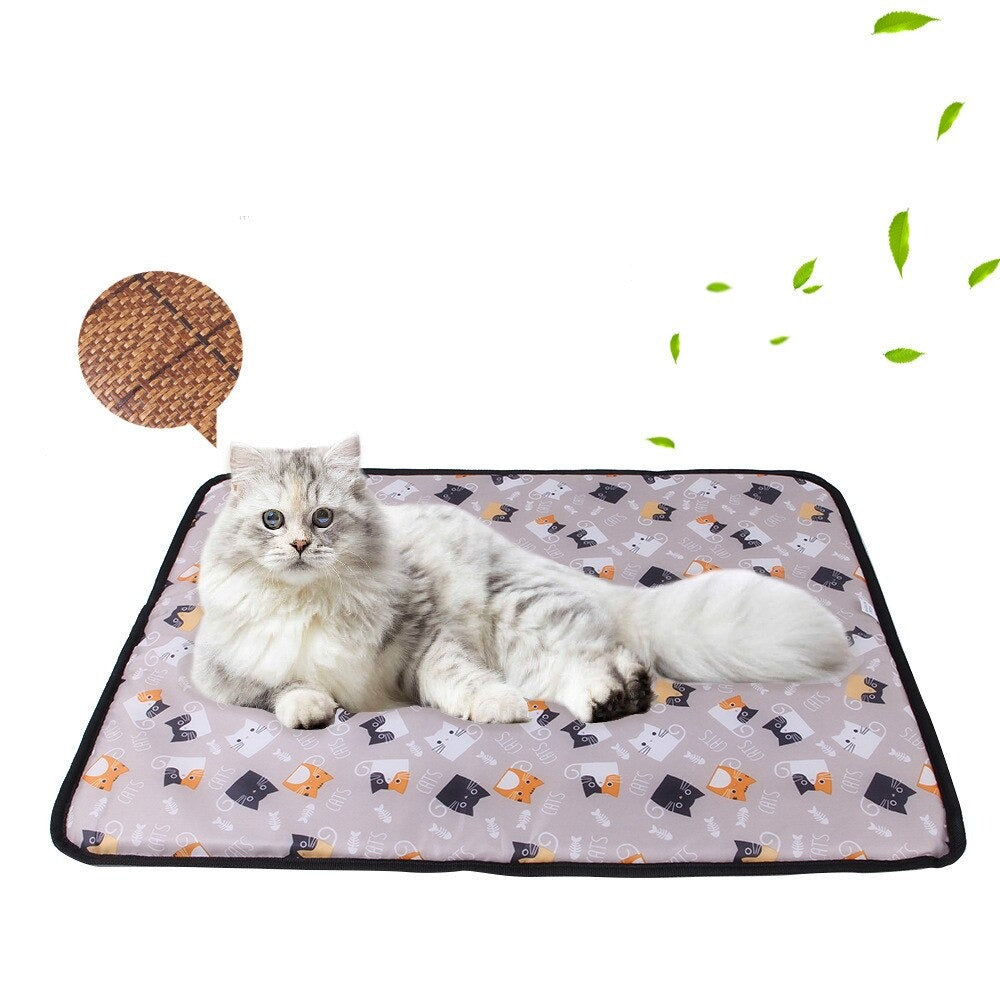 Double Sided Pet Mat