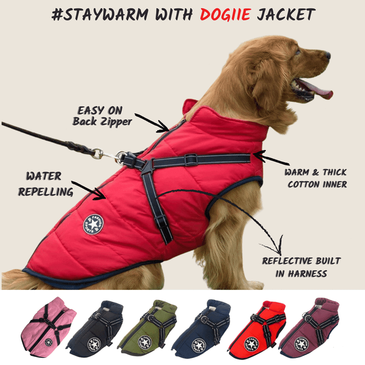 🔥  Promotion 47% OFF - Waterproof Winter Dog Jacket with Built-in Harness