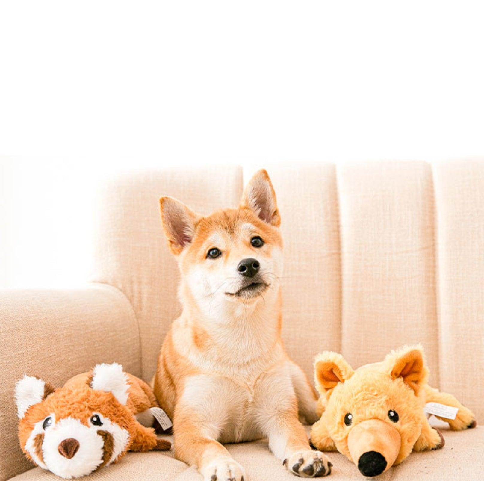 Animal Style Pocketed Plush Dog Toy - Fillable with Water Bottle for Extra Fun