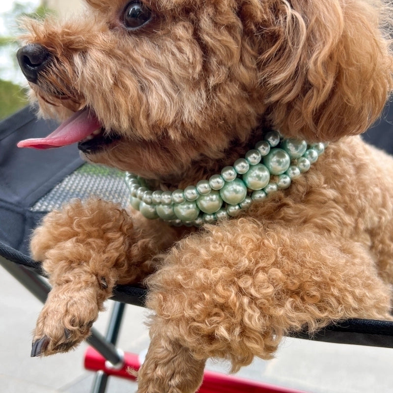 Cute Plastic Round Pet Collar