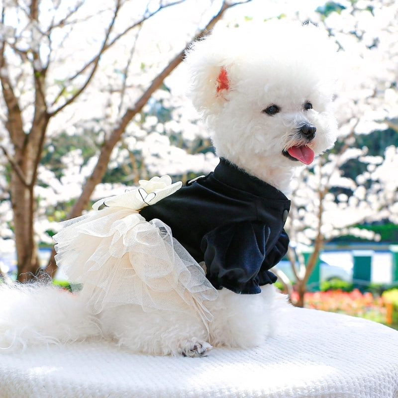 Pet Ring Dog Clothes Spring And Summer New New Medium And Small Dog Puppy Fluffy Gauze Dress Hepburn Wedding Dress