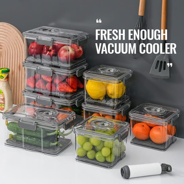 🔥Hot Sale🔥Home Vacuum Fresh Storage Box