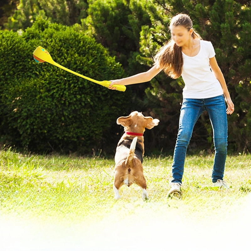 New Molar Pet Supplies Popular Sound Interactive Throwing Club Plastic Dog Toys