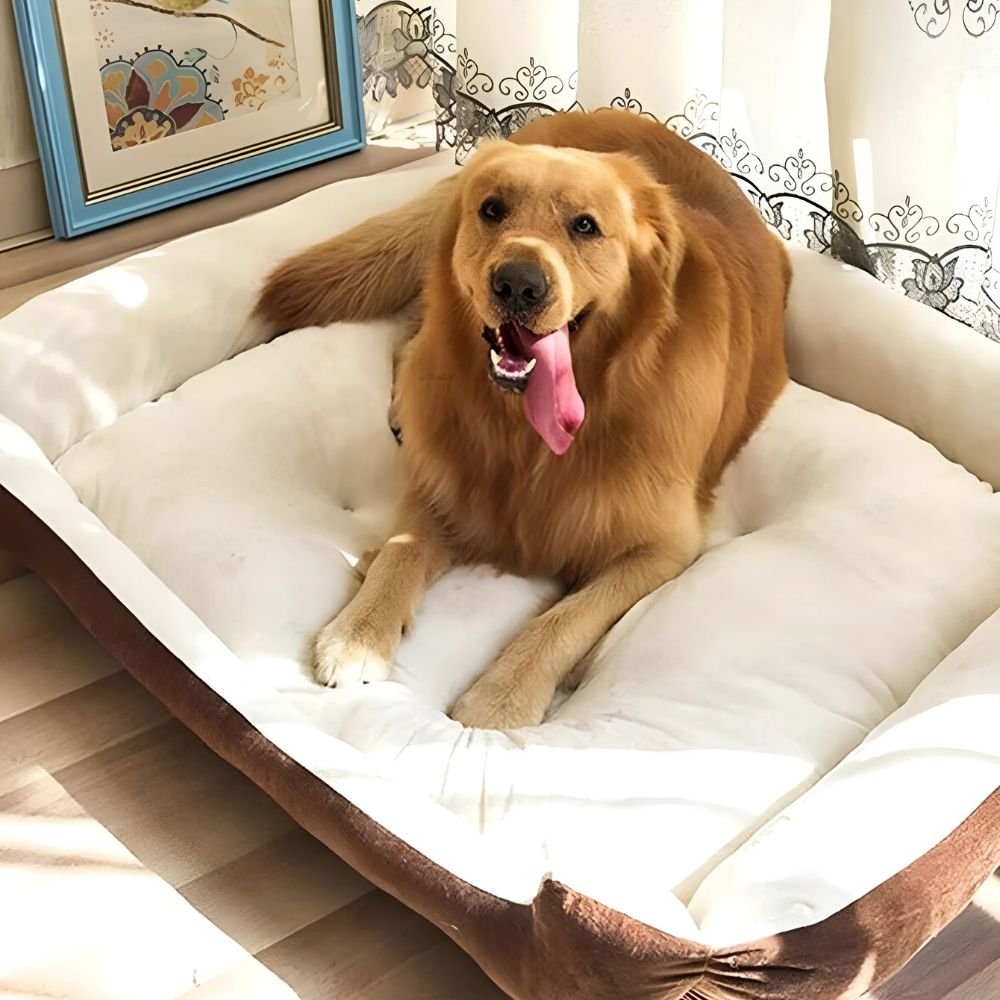 Pet Bed