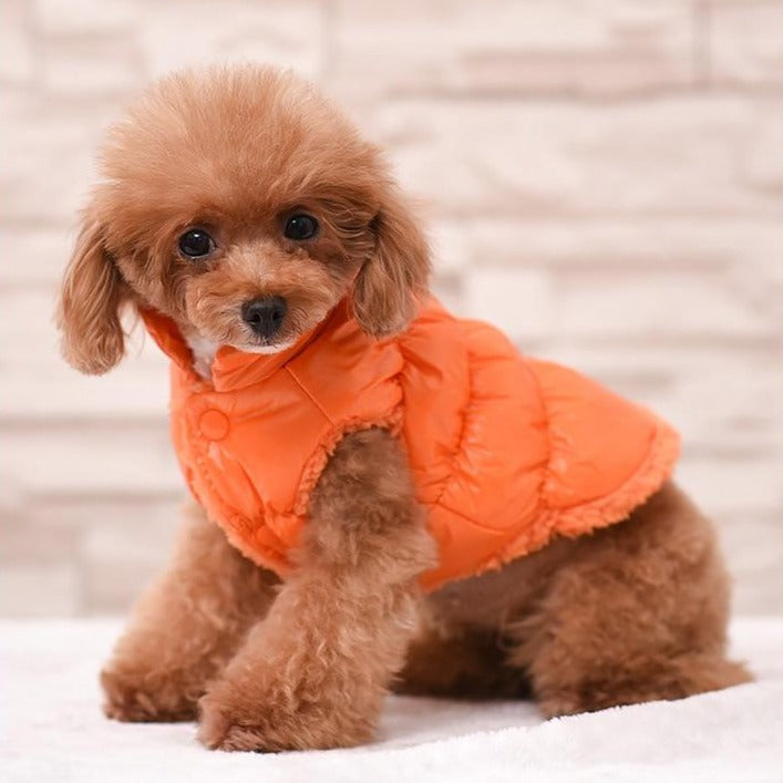 Cotton Padded Puppy Vest Jacket