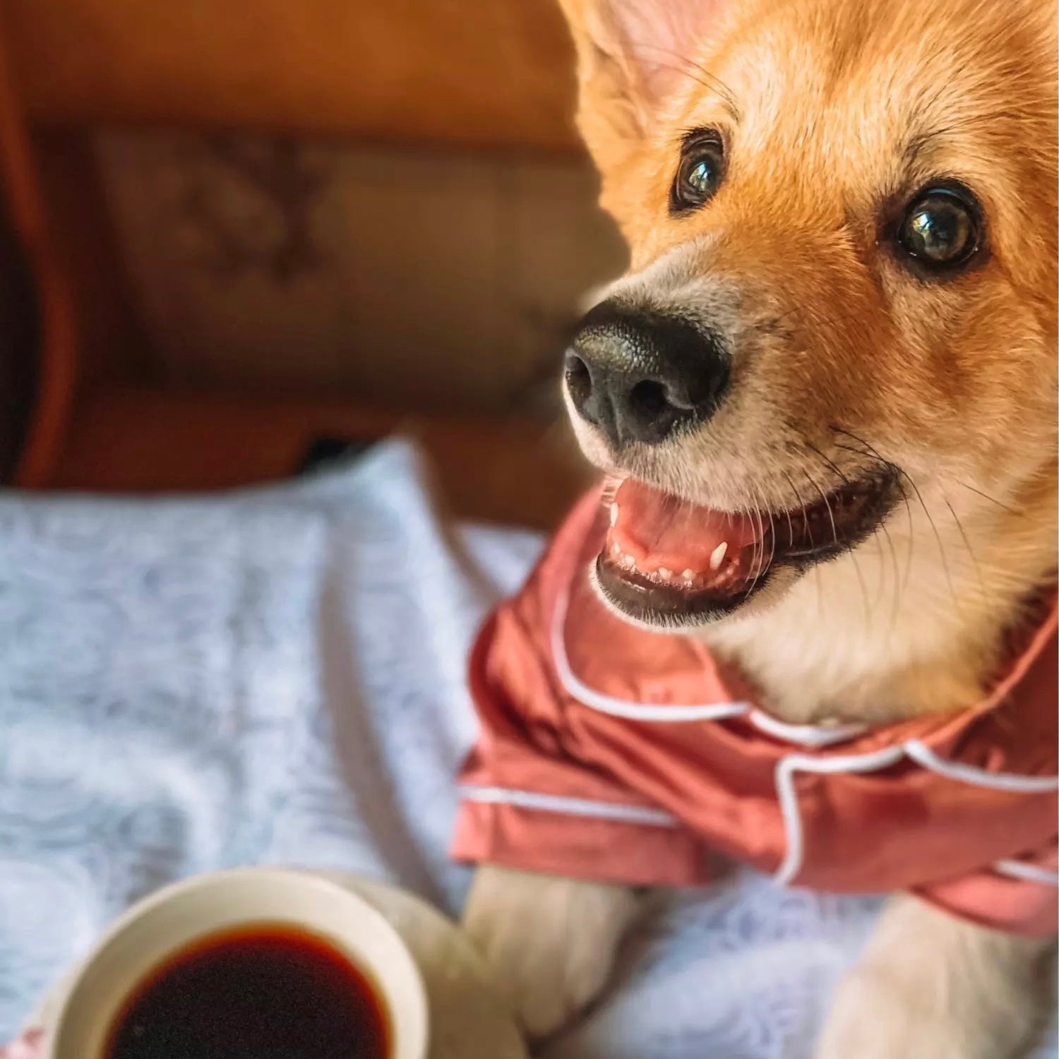 Soft Silk Dog Cat Pajamas