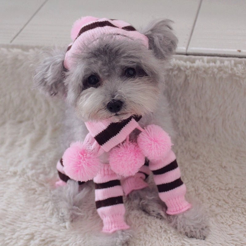 Pet Dog Hat Scarf Foot Cover Cat Dog Teddy Autumn And Winter Clothing Teddy Puppy Bomei Clothes Accessories